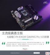 七彩虹CVN B365M GAMING Pro V20评测
