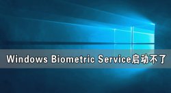 Windows Biometric Service启动不了 在哪里启动