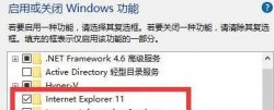 Windows11有没有IE浏览器详情