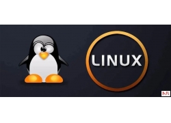 50 个应知必会的 Linux 常识和操作！