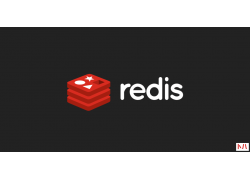 网上找的 Redis 分布式锁都有漏洞！